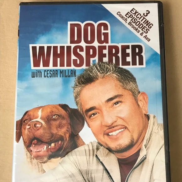 Dog Whisperer 3 Episodes Coach Brooks & Ava Cesar Millan Screen Media DVD - Picture 3 of 8